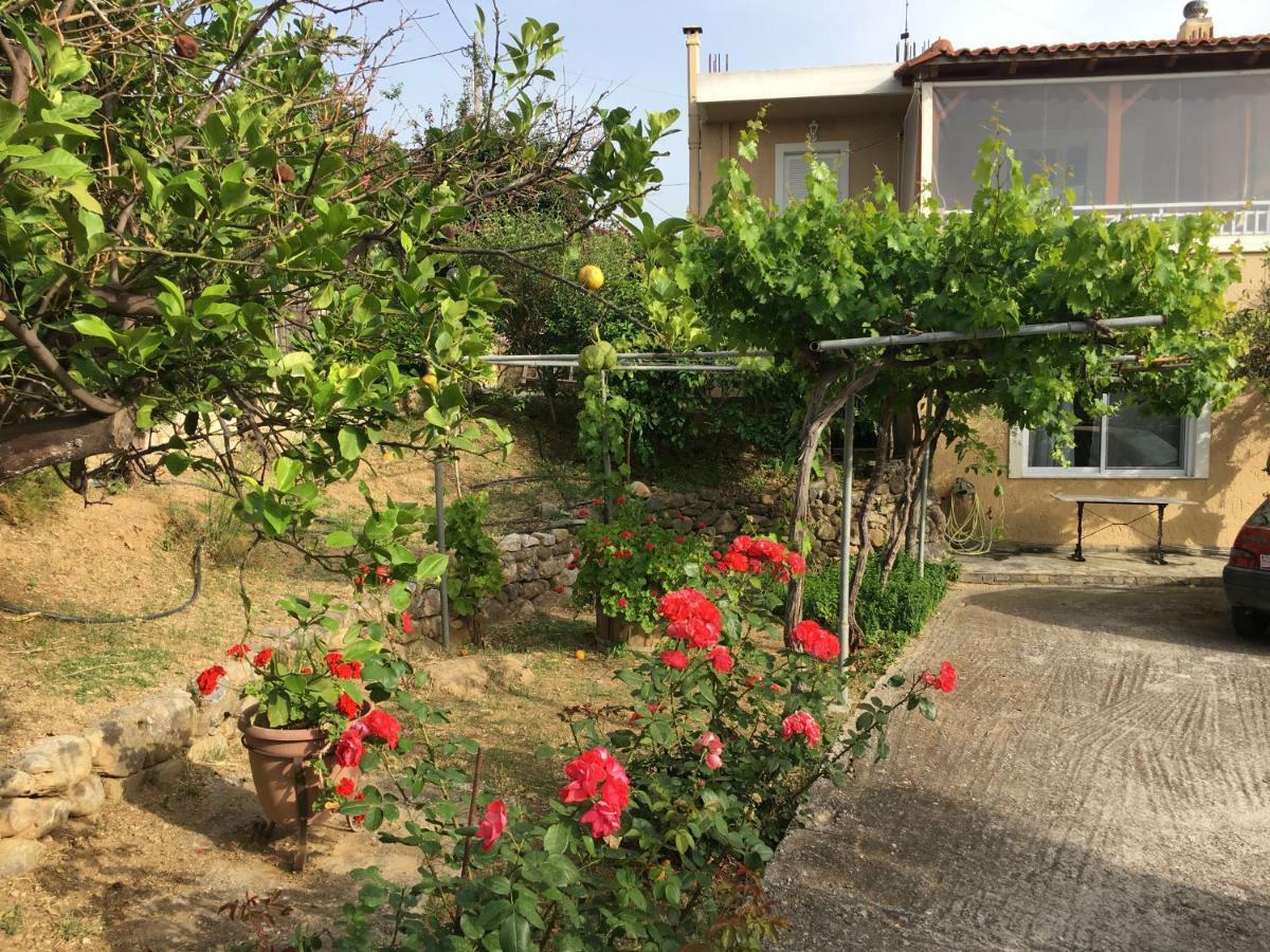 Pigi  Physis Rental Estate מראה חיצוני תמונה